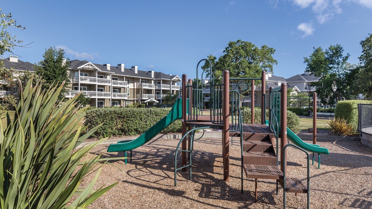 Photo of Others in Windsor