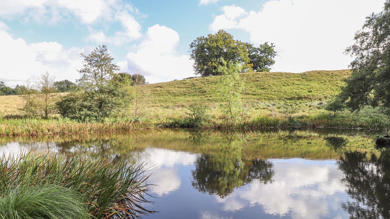 Photo of Outdoor in Maidstone