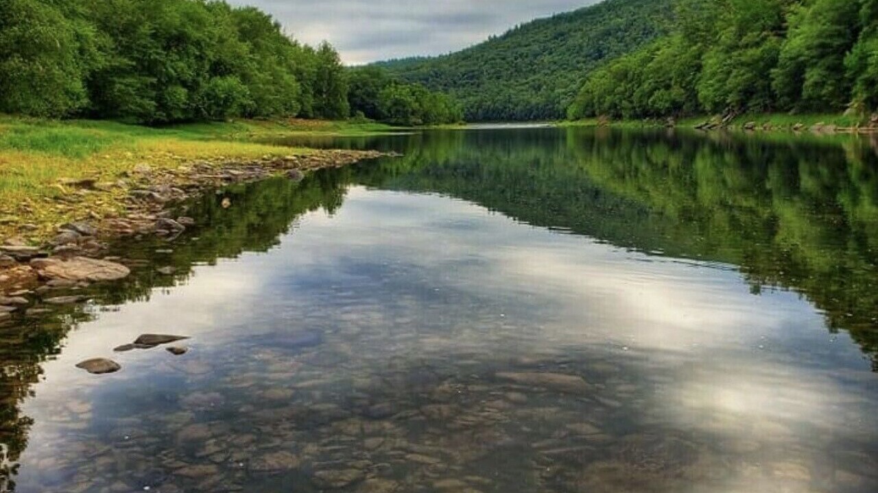 Photo of Others in Lake Ariel