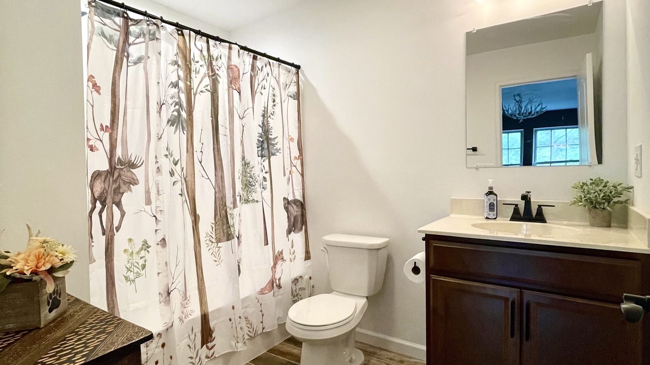 Photo of Bathroom in Lake Ariel