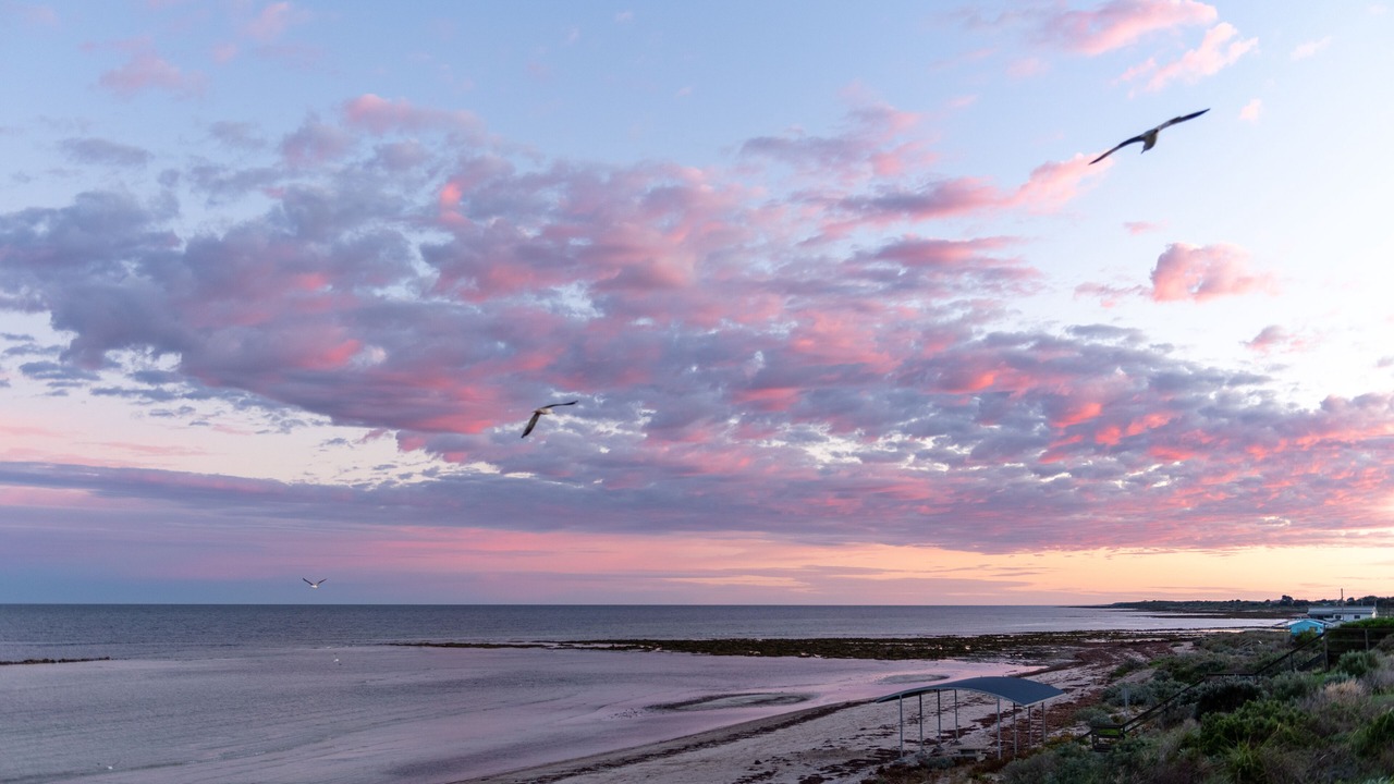 Photo of Others in Minlacowie