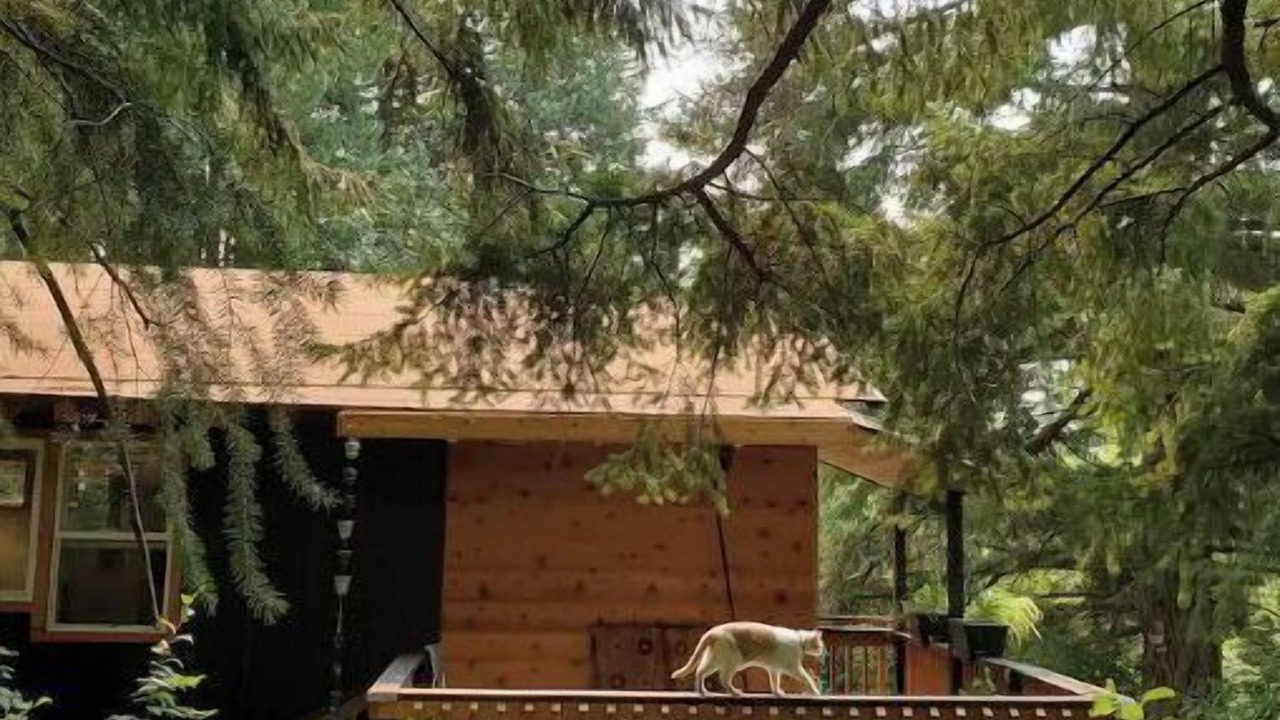 Photo of Patio Balcony in Stevenson