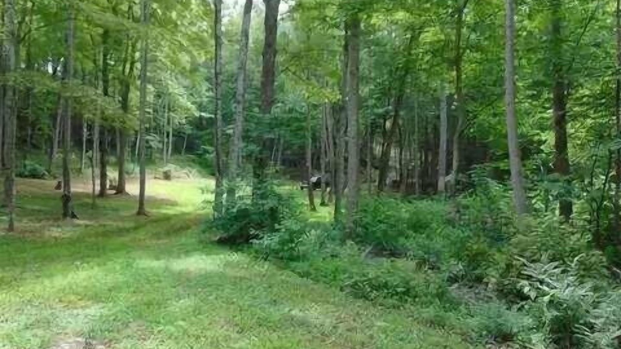 Photo of Outdoor in Smith River