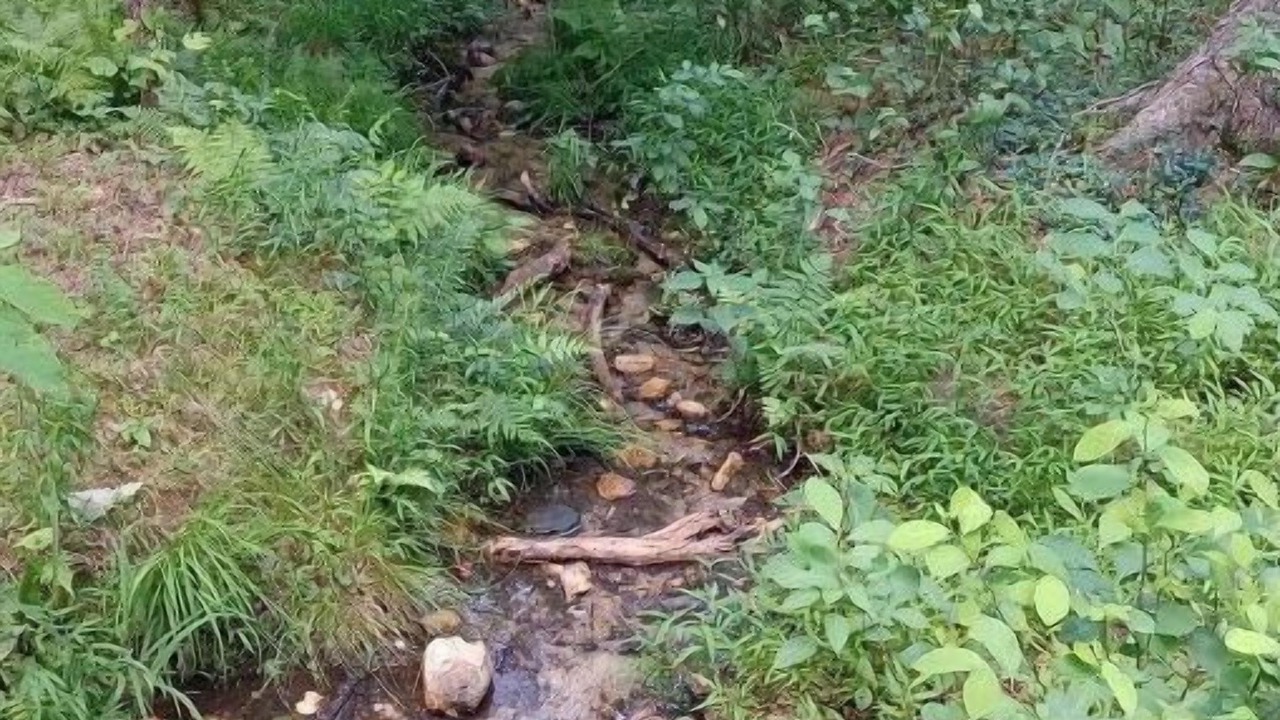 Photo of Others in Smith River
