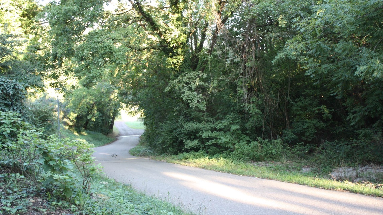 Photo of Outdoor in Bischoffsheim