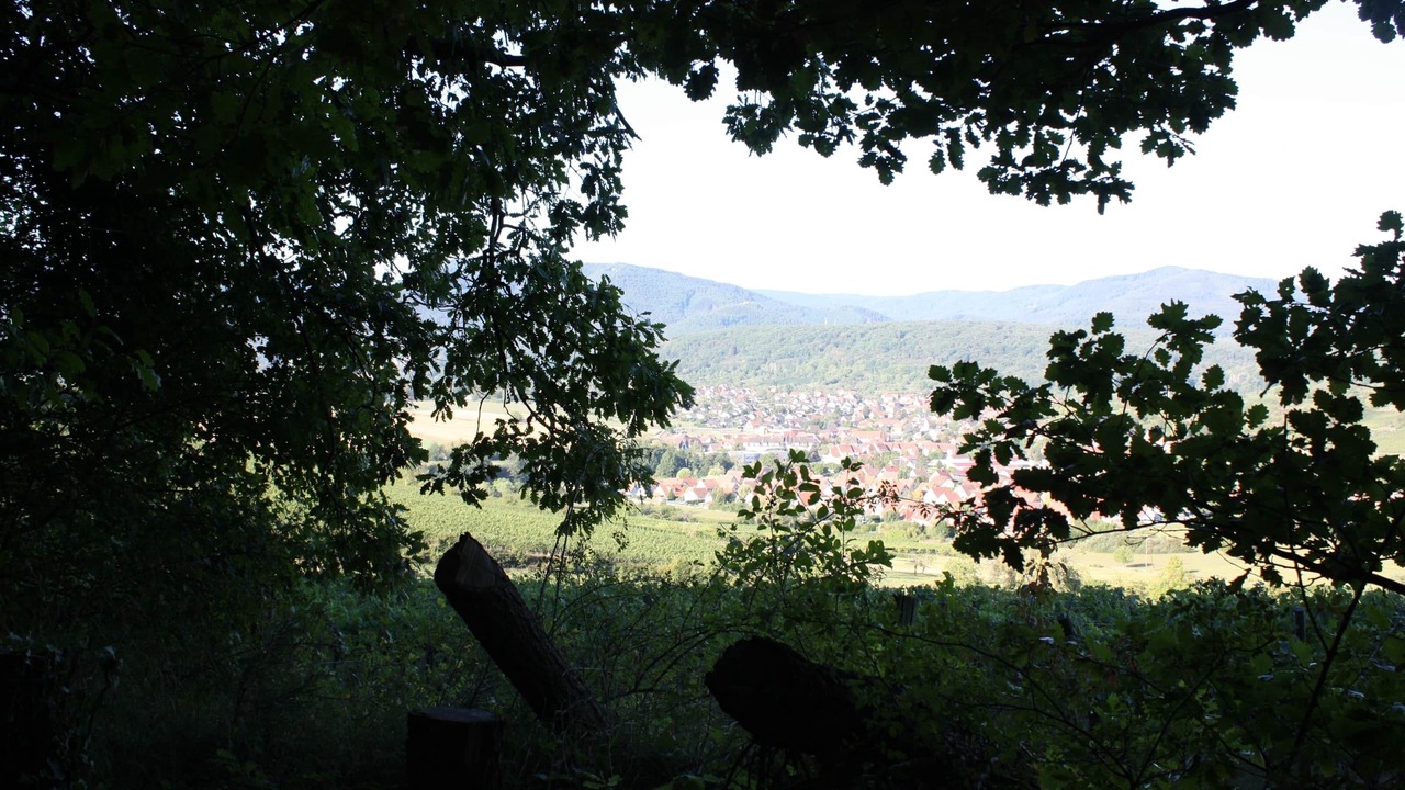 Photo of Outdoor in Bischoffsheim