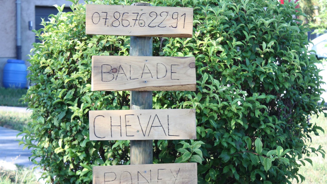 Photo of Outdoor in Bischoffsheim