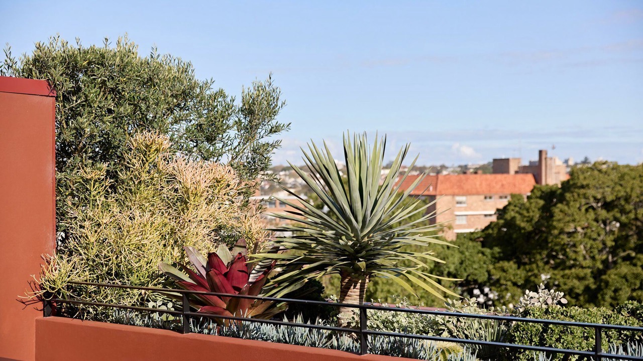 Photo of Outdoor in Elizabeth Bay