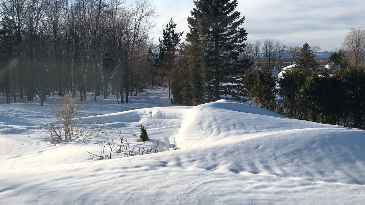 Photo of Others in Saint-Michel-de-Bellechasse