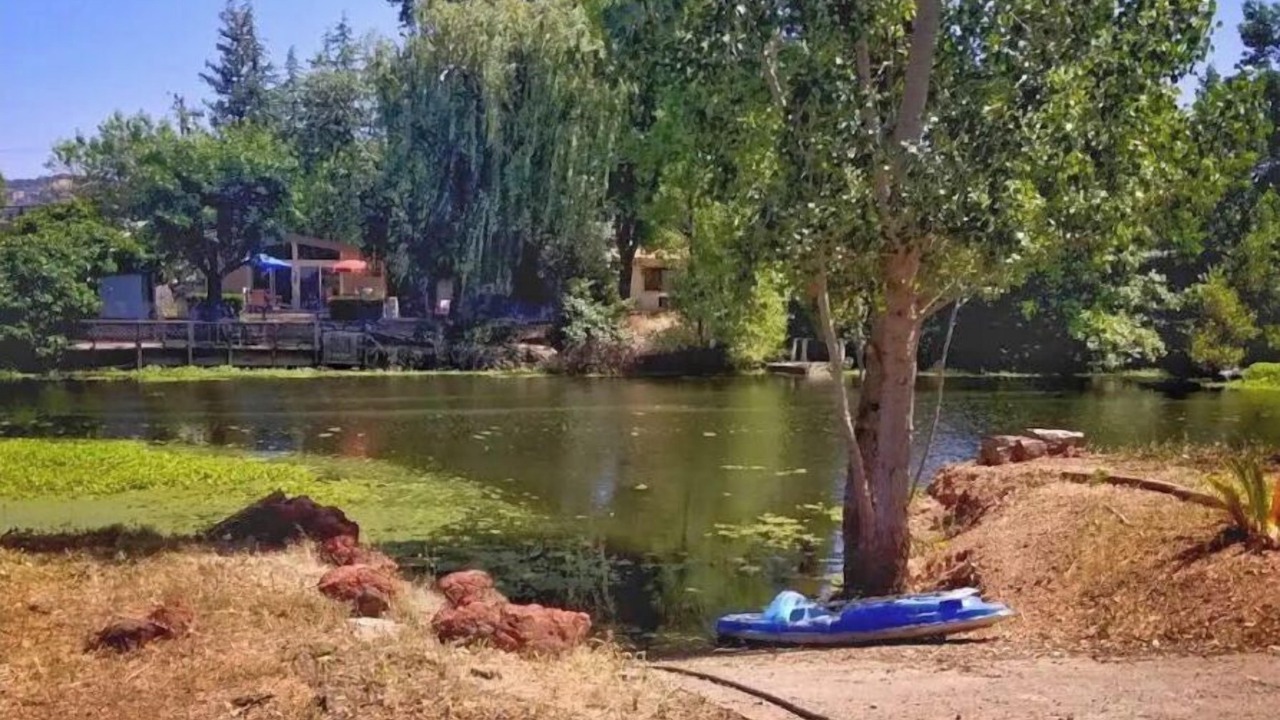 Photo of Others in Wilbur Springs