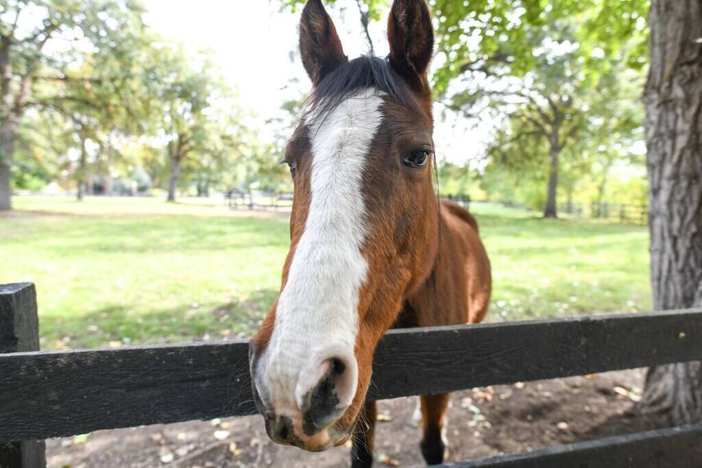 Photo of Others in Yakima