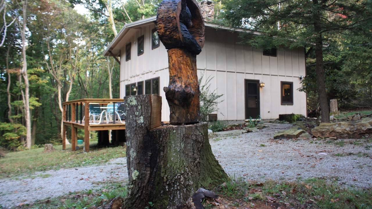 Photo of Outdoor in Champion