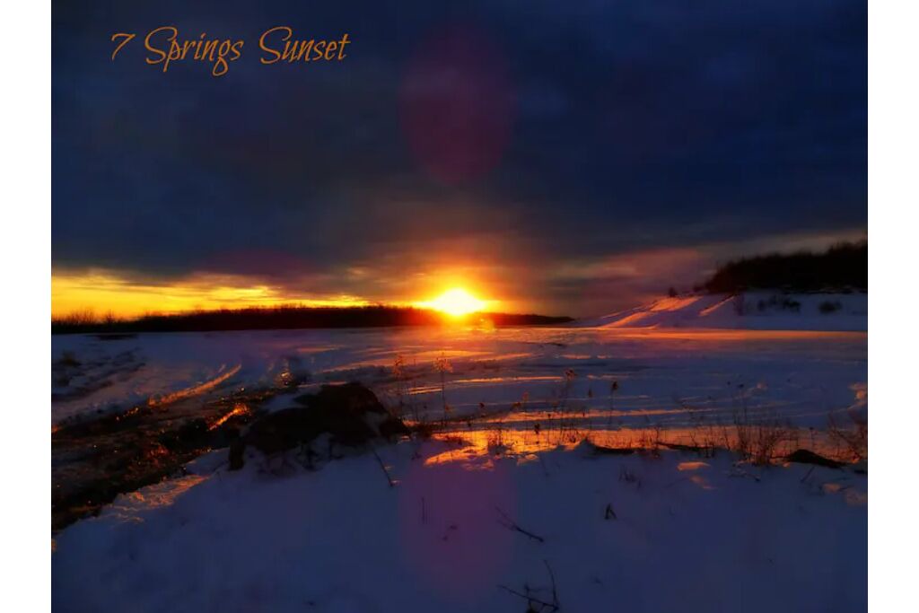 Photo of Others in Champion