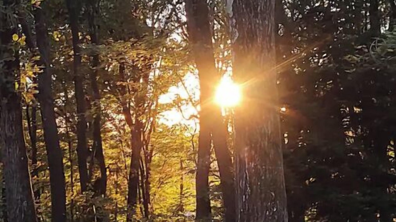 Photo of Outdoor in Champion