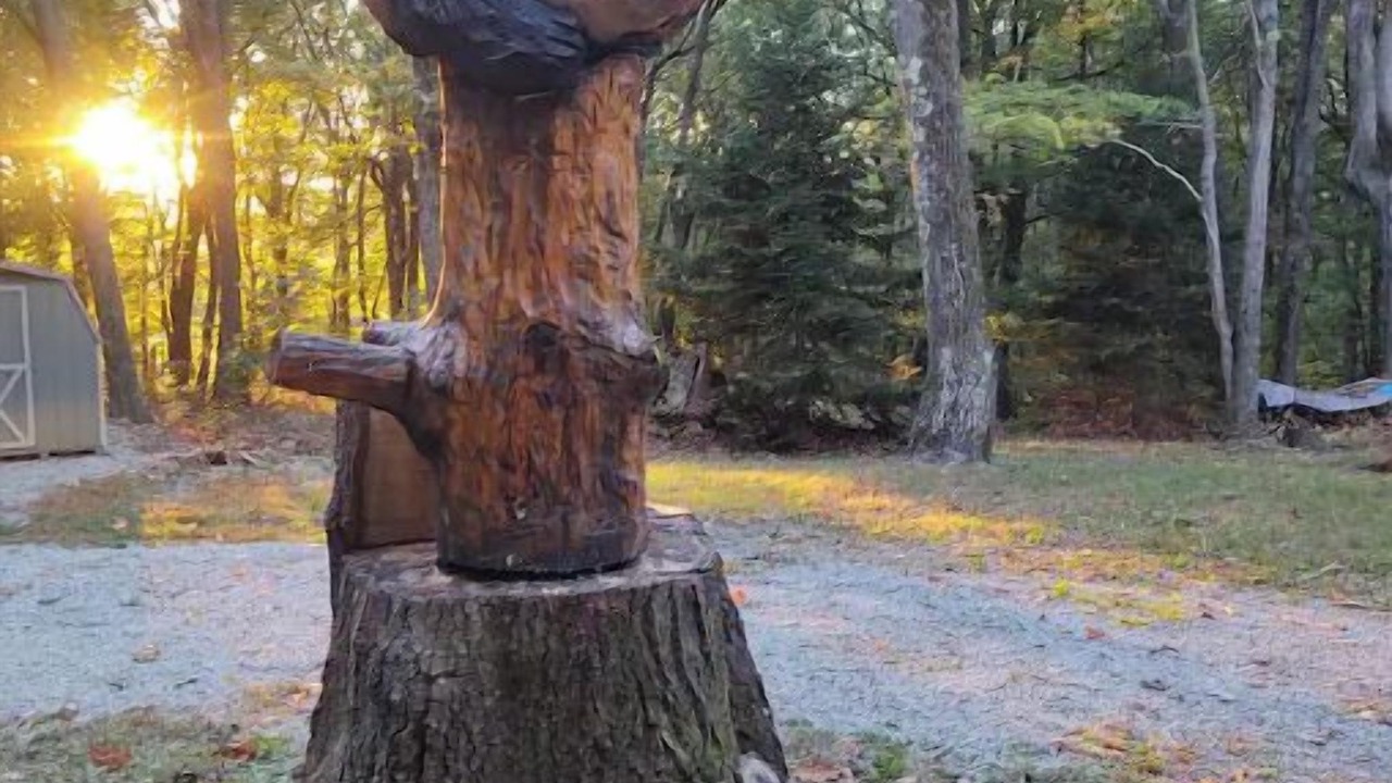 Photo of Outdoor in Champion