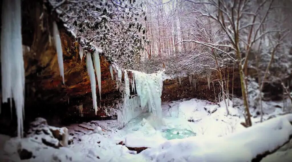 Photo of Others in Champion