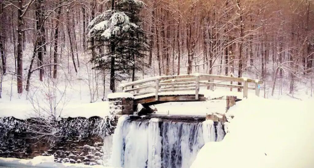 Photo of Others in Champion