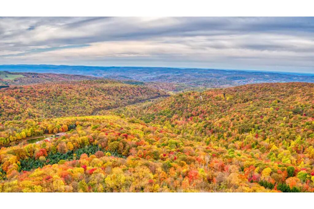 Photo of Others in Champion