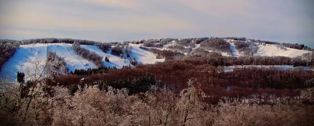 Photo of Others in Champion