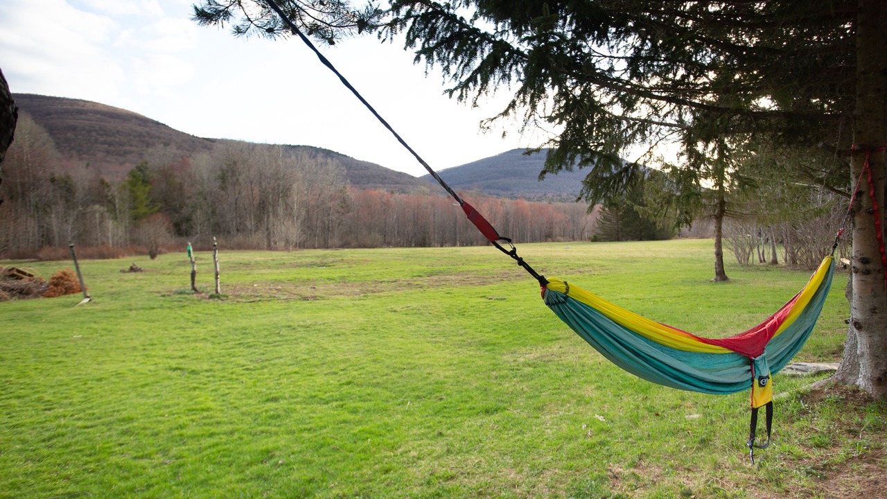 Photo of Outdoor in East Jewett