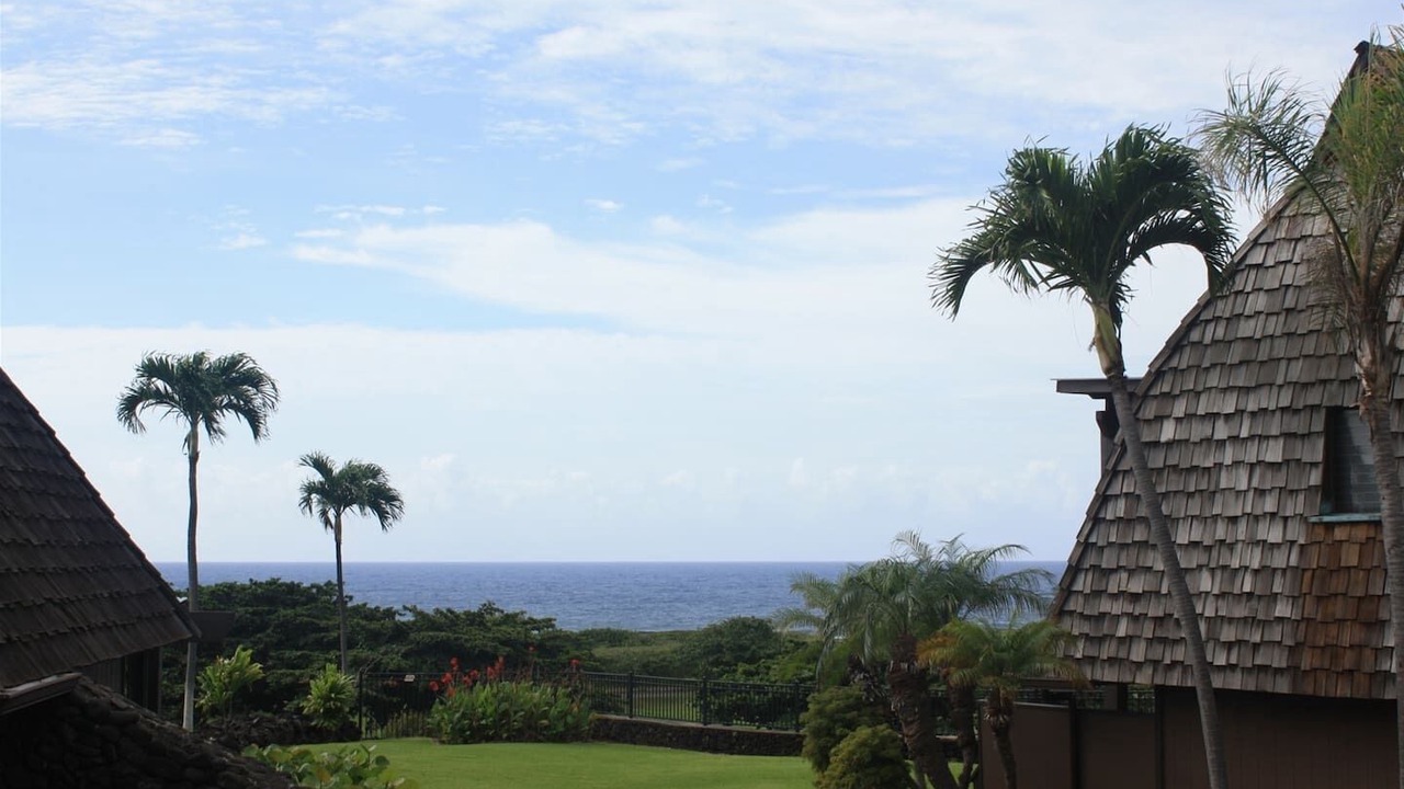 Photo of Outdoor in Punaluu