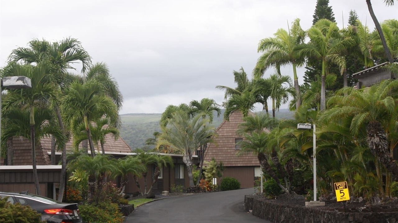 Photo of Outdoor in Punaluu
