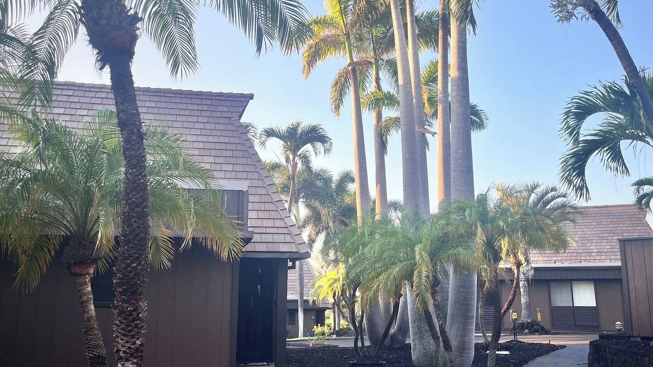 Photo of Outdoor in Punaluu