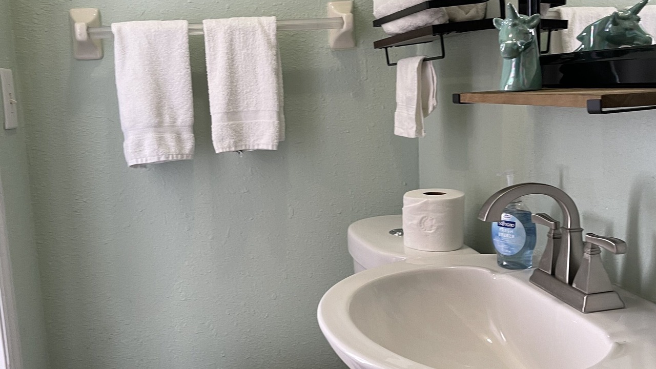 Photo of Bathroom in Citrus Park