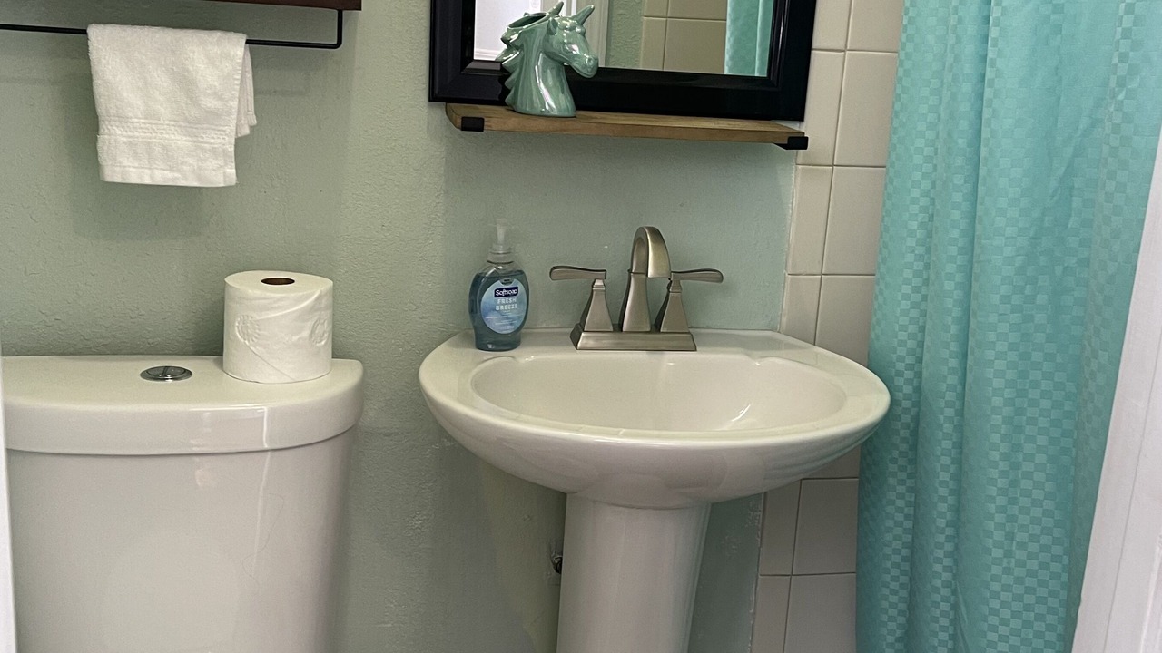 Photo of Bathroom in Citrus Park