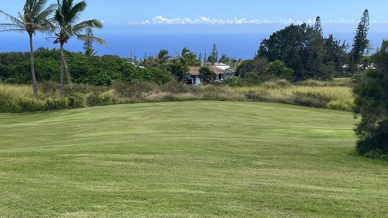 Photo of Others in Discovery Harbour