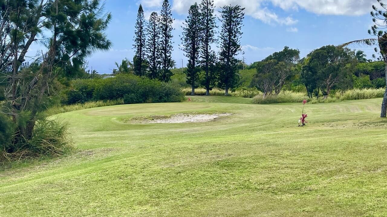 Photo of Others in Discovery Harbour