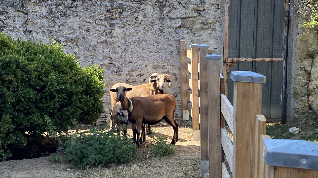 Photo of Others in Boissy-le-Sec