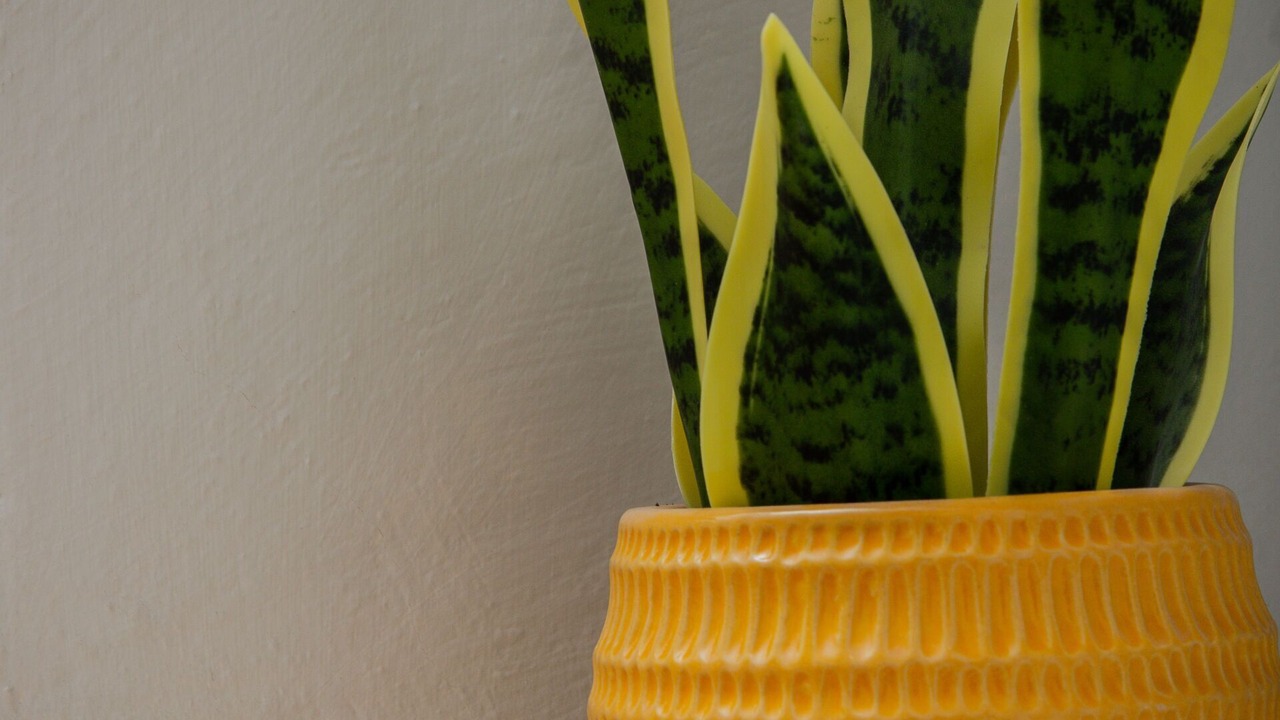 Photo of Bedroom in Crieff