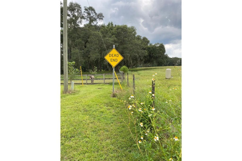 Photo of Outdoor in High Springs