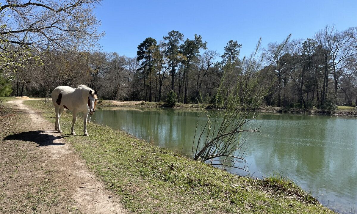 Photo of Outdoor in Magnolia