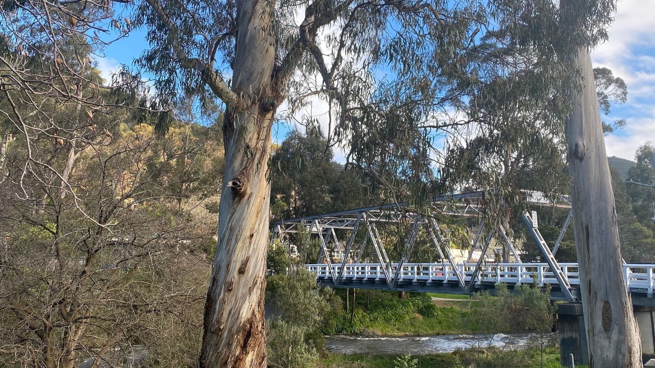 Photo of Others in Warburton