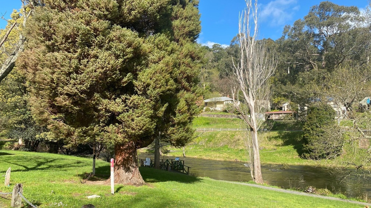 Photo of Others in Warburton