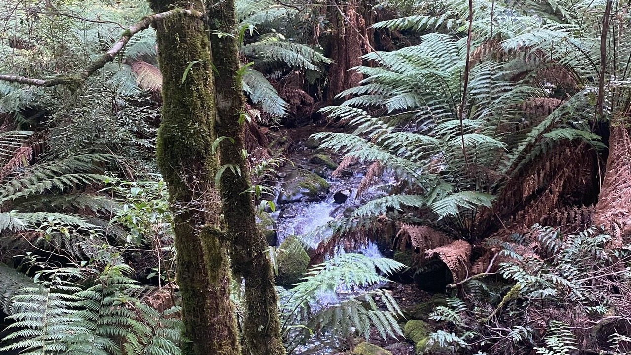 Photo of Others in Warburton