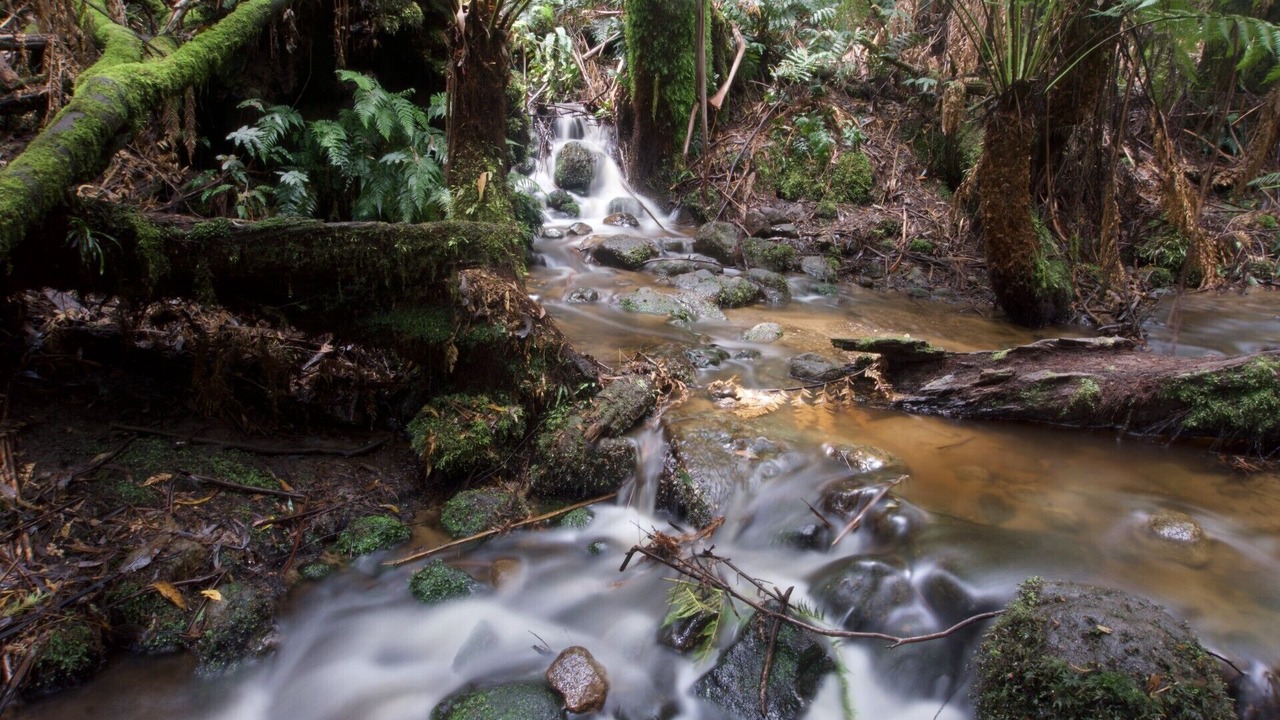 Photo of Others in Warburton