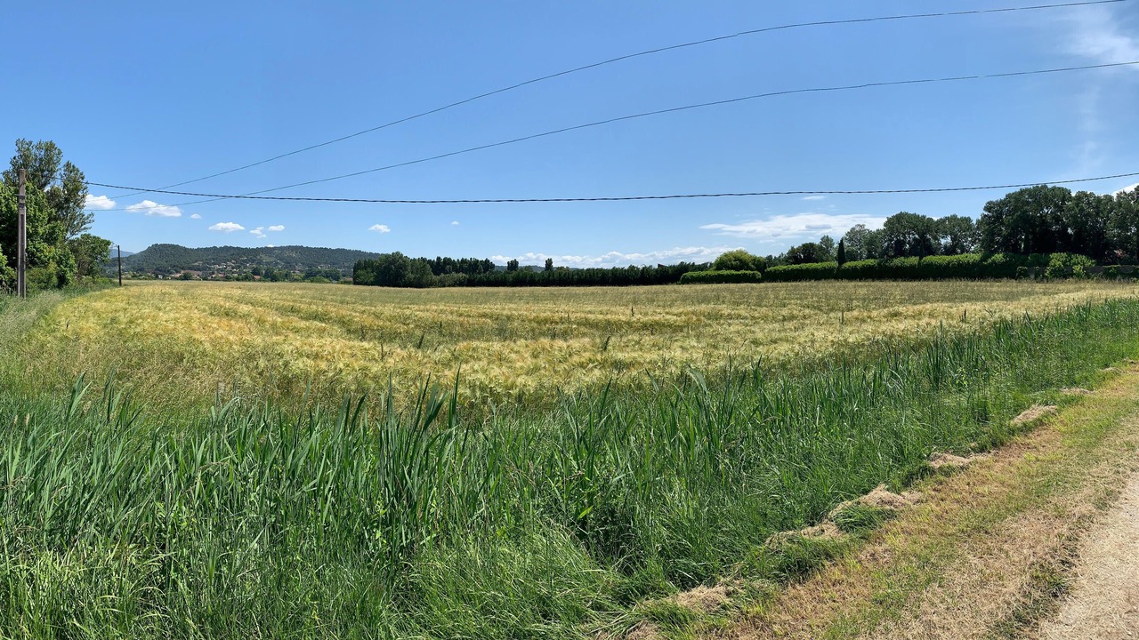 Photo of Outdoor in Villelaure