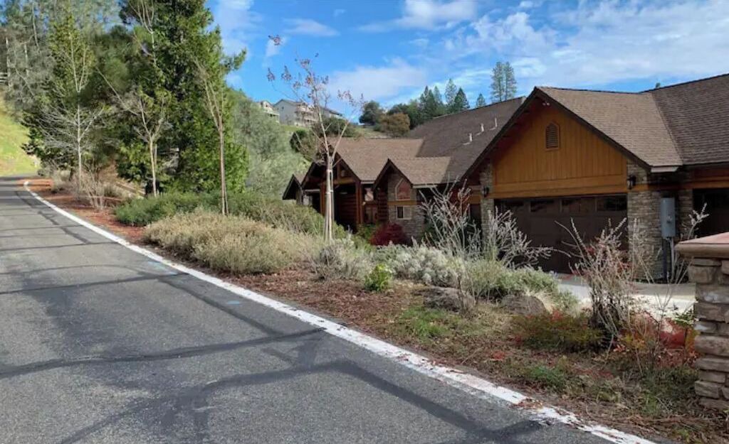 Photo of Others in Forest Meadows