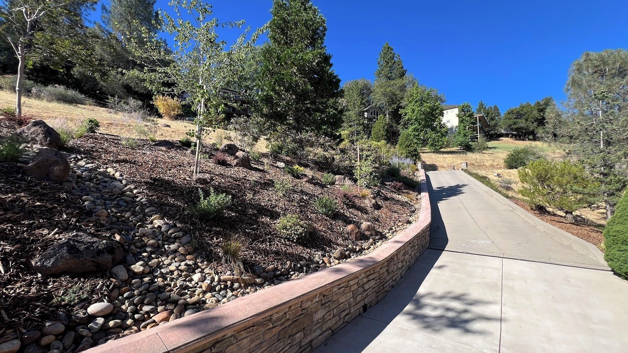 Photo of Outdoor in Forest Meadows