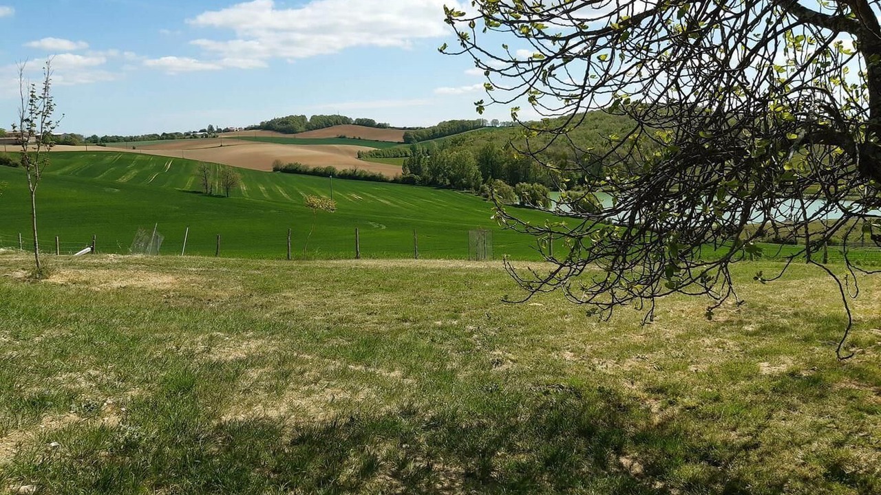Photo of Others in Lavaur