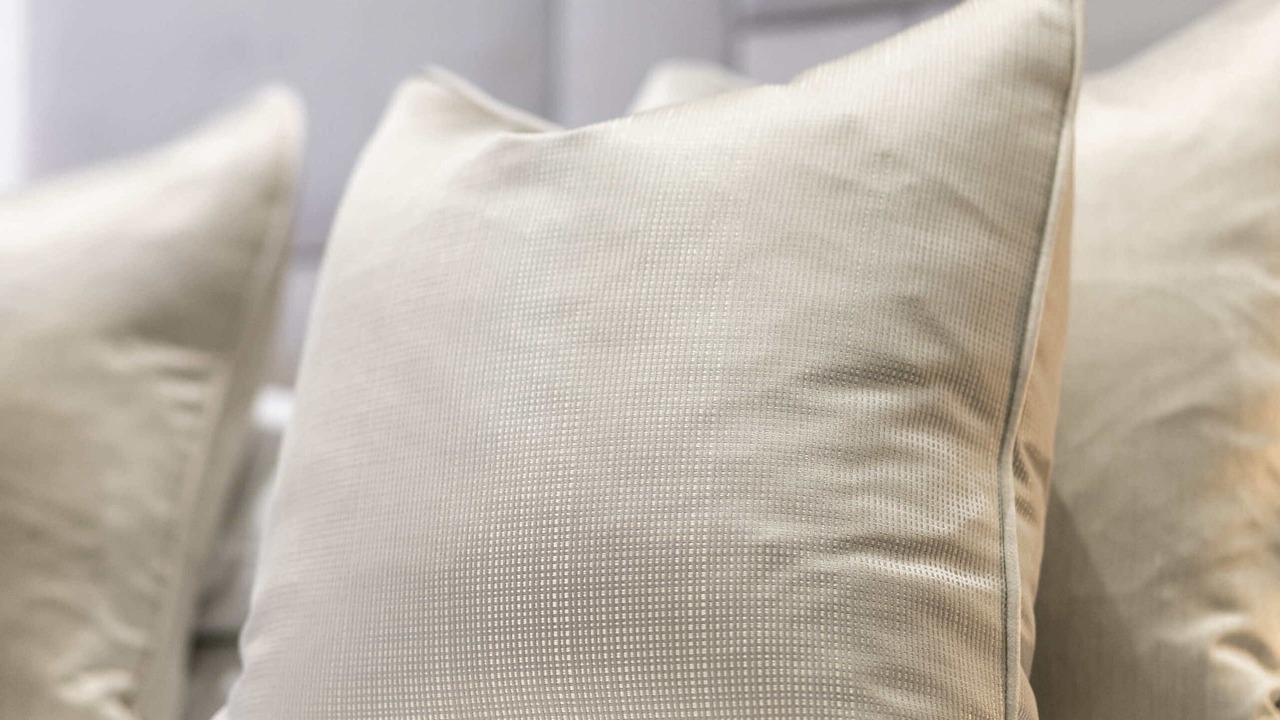 Photo of Others in South Shore