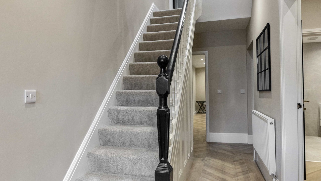 Photo of Others in South Shore