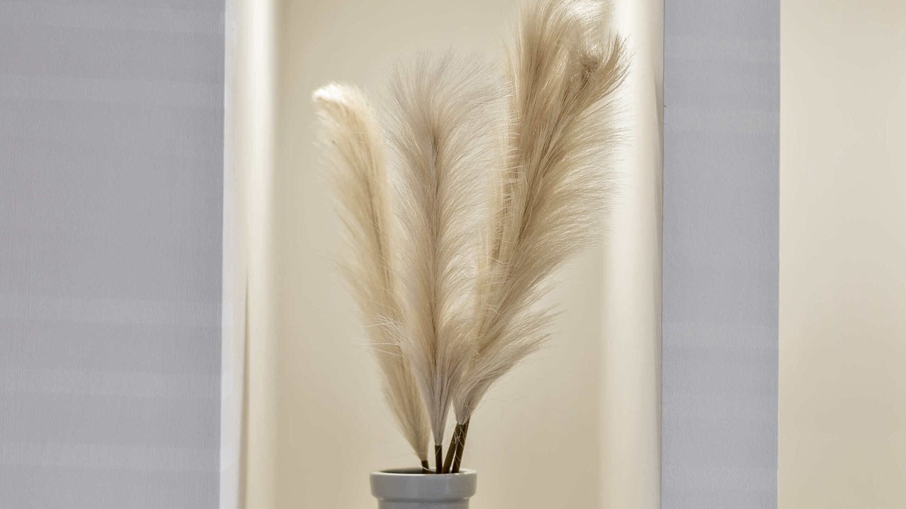 Photo of Others in South Shore