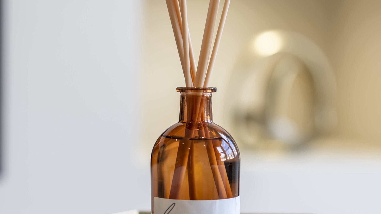 Photo of Others in South Shore