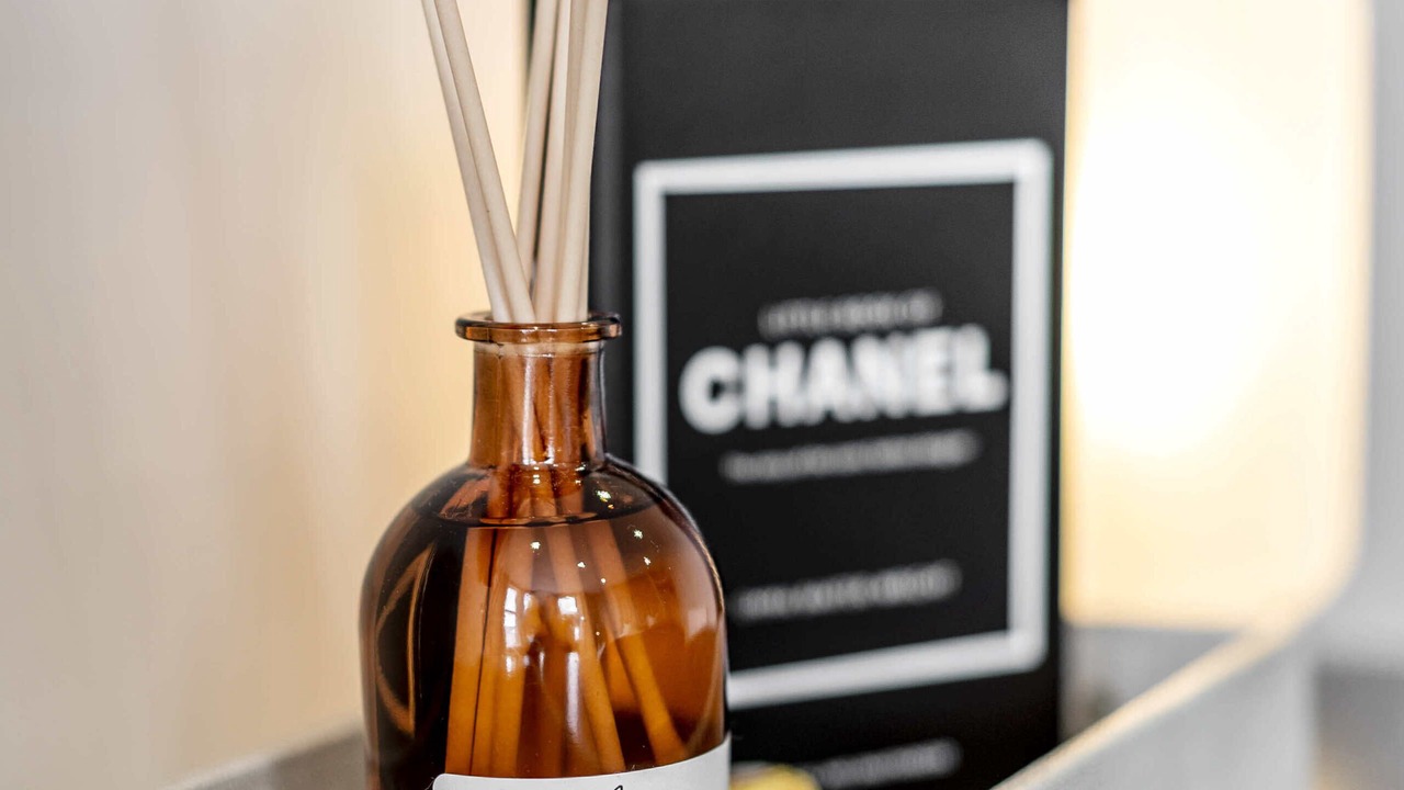 Photo of Others in South Shore