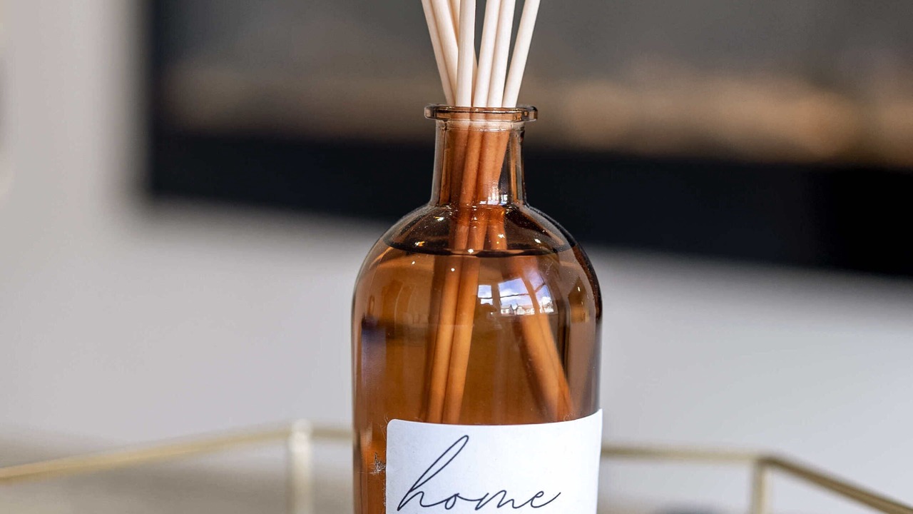 Photo of Others in South Shore