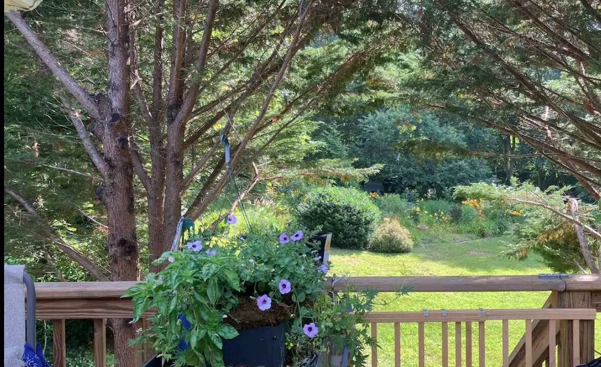 Photo of Outdoor in West Brewster